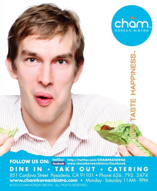 Cham Flyer